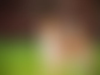 Riega el patio: Moja el suelo del jardín para refrescarlo un poco antes de que salga.