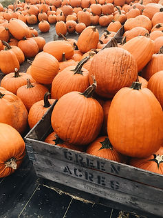 Pumpkin Crate Display