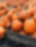 Pumpkin Crate Display