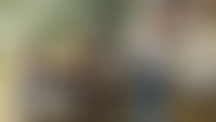 Declutter Smarter, Live Bigger