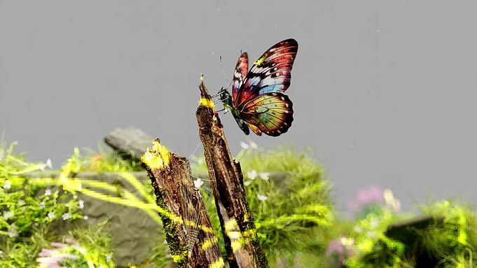 Borboleta de falha na natureza