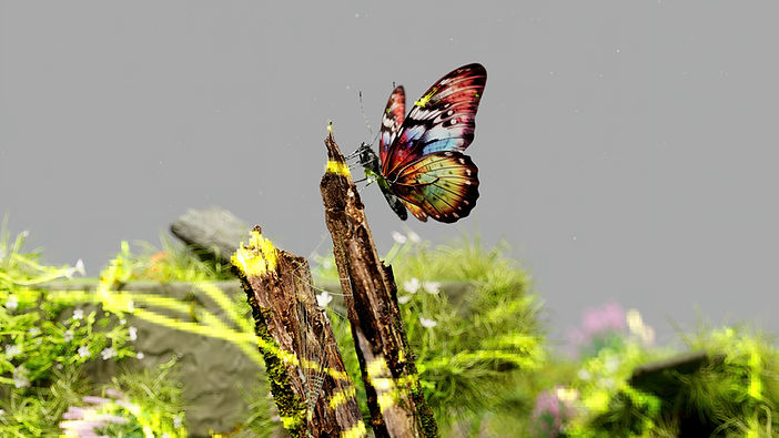 Glitch Butterfly in Nature