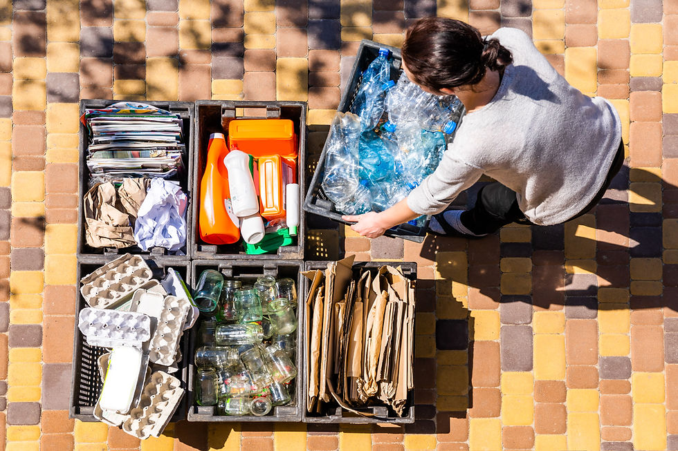 Recycling Sorting Activity