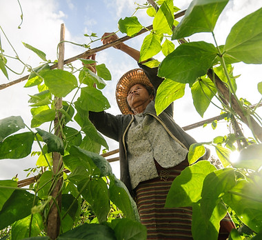 WIOA Dislocated Agricultural Worker Program