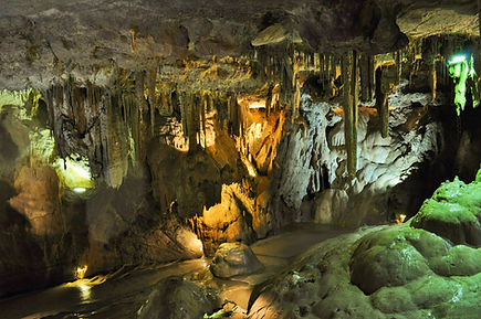 Activities in Mérida