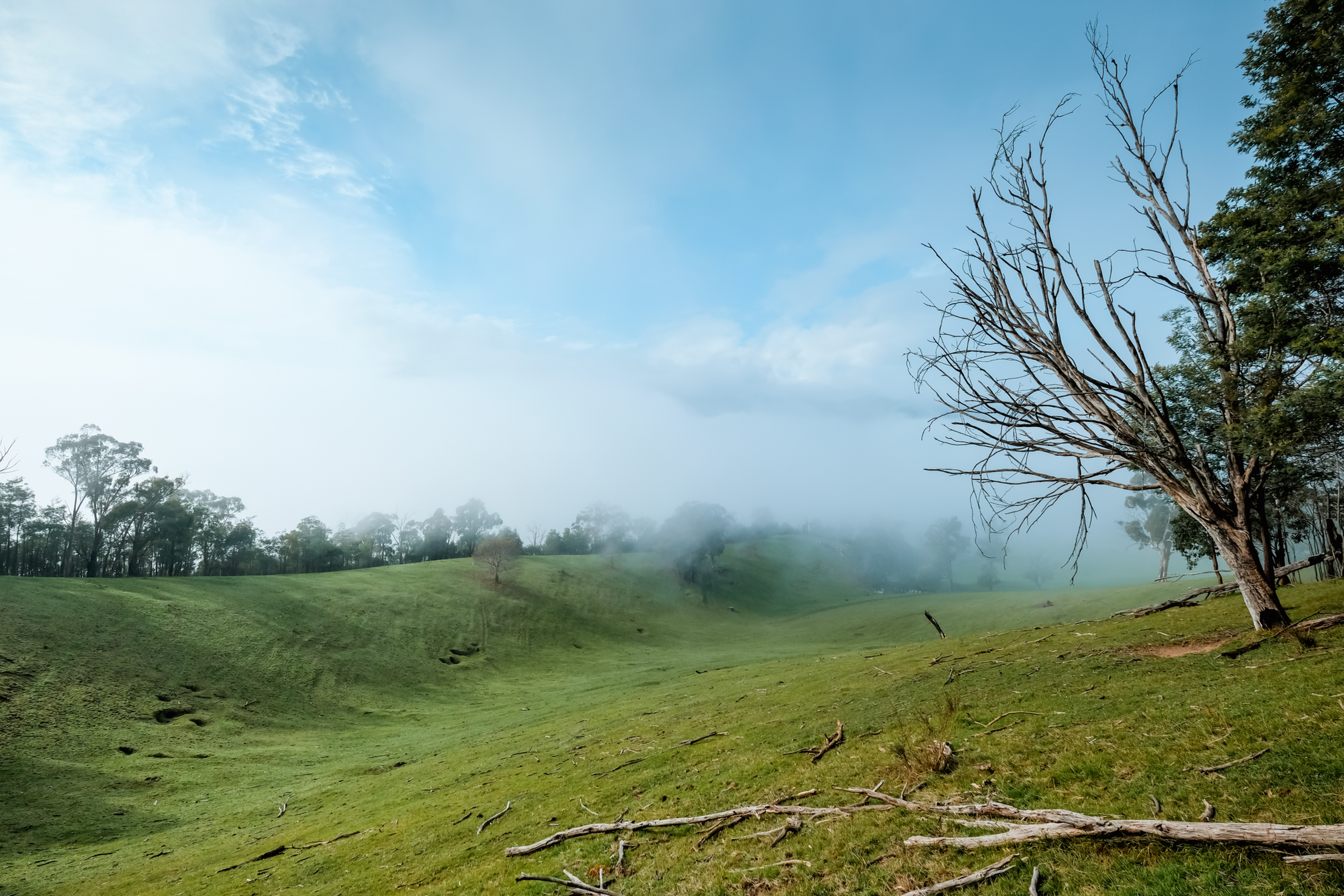 Standing in Your Power meditation for self-trust, resilience, confidence, and life transitions