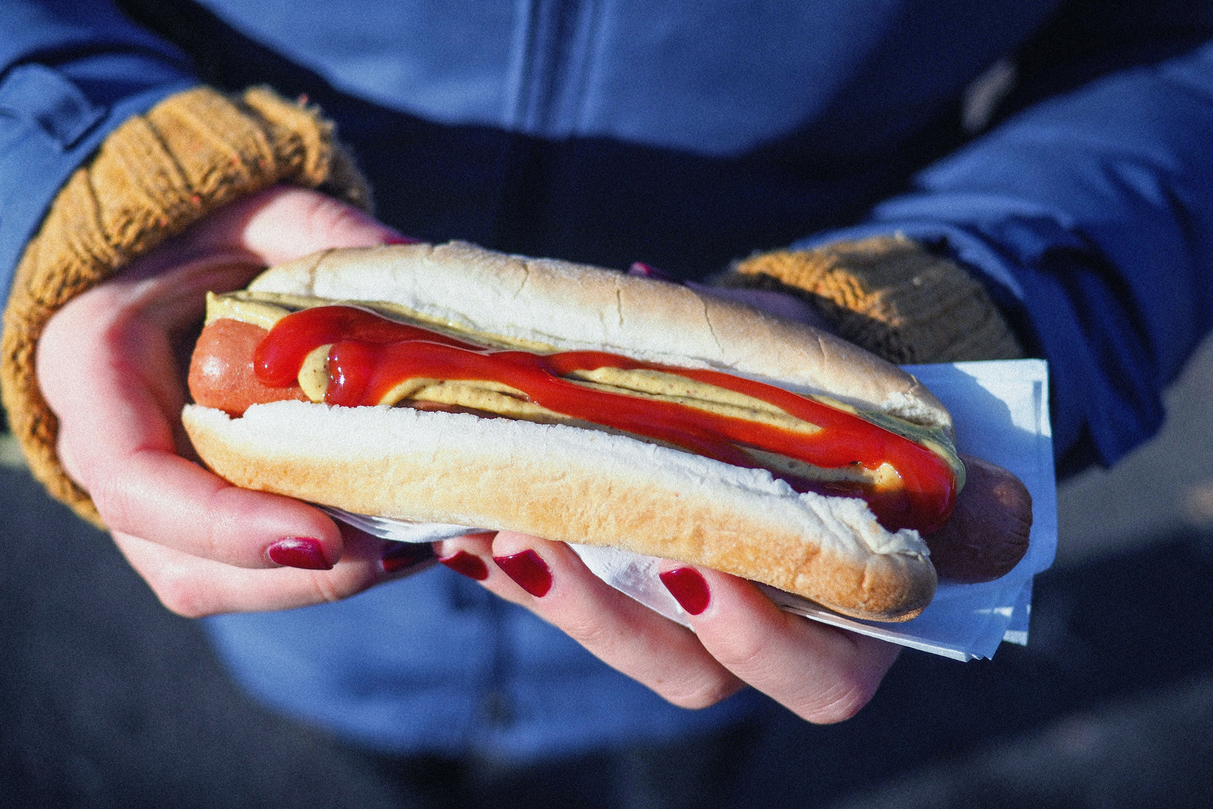 Arranged Food and Objects
