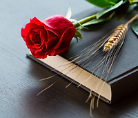 Red rose and ear of wheat with black book