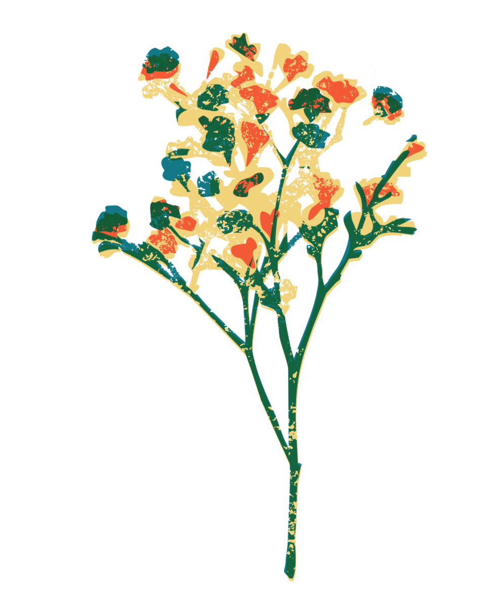 Contact Grow to Your Fullest