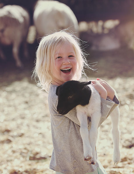 Girl Holding Lamb