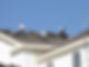 Roofers installing a new roof on a sunny day