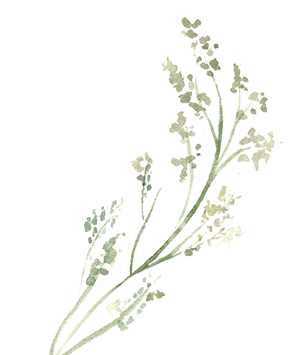 Delicate Floral Illustration