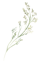 Illustration branche