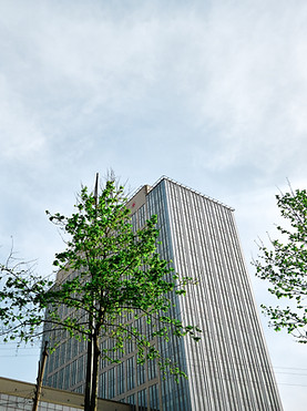 Company Building
