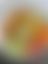 The emirate's multicultural population, comprising over 85% expatriates from countries like India, Lebanon, Russia, and the UK, has created a vibrant food scene where vegetarian restaurants in Dubai flourish. This diversity has led to an exciting fusion of international flavors, making Dubai a true paradise for vegetarian food lovers who no longer need to compromise on taste or variety