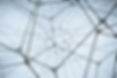 Digital Network