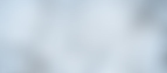 The Complexity Approach for Organisations- Seeing the Bigger Picture