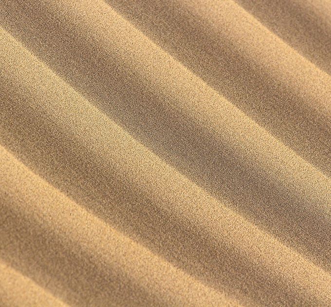 Sand Ripples Texture
