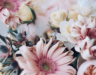 Pink Floral Close-Up