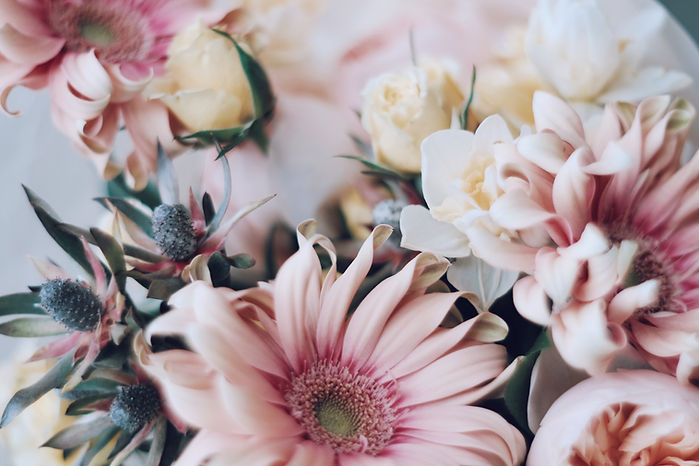 Pink Floral Close-Up
