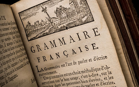 Ganze Seite digitalisieren