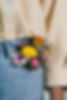 Flowers in Pocket