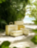 Striped Luggage on Beach