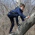 Climbing a Tree