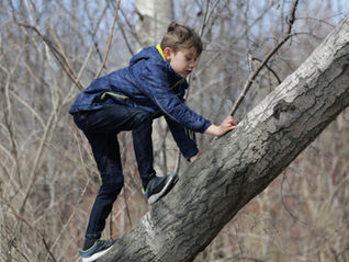 child building resilience when climbing tree