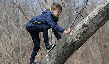 Climbing a Tree