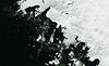 Monochrome Grunge Texture