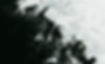 Monochrome Grunge Texture