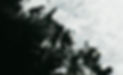 Monochrome Grunge Texture