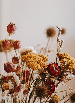 Dried Flowers