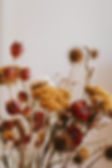 Dried Flowers