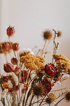 Dried Flowers