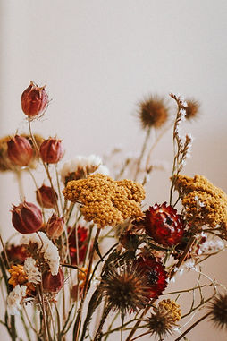 Dried Flowers