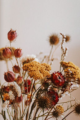 Dried Flowers