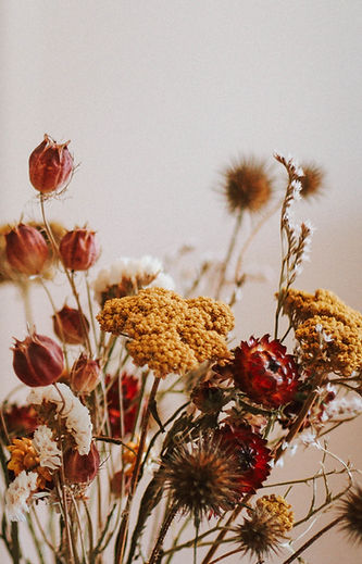 Dried Flowers