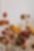 Dried Flowers