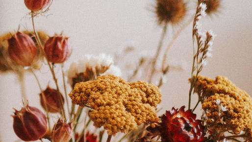 Coaching with Christy: The Importance of Giving Yourself Time to Heal