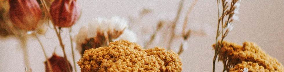 Dried Flowers