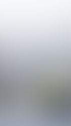 FRS 102 is evolving: Key changes UK businesses need to prepare for