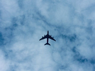 flight