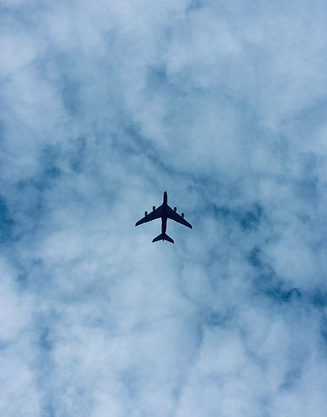 Morning Flight