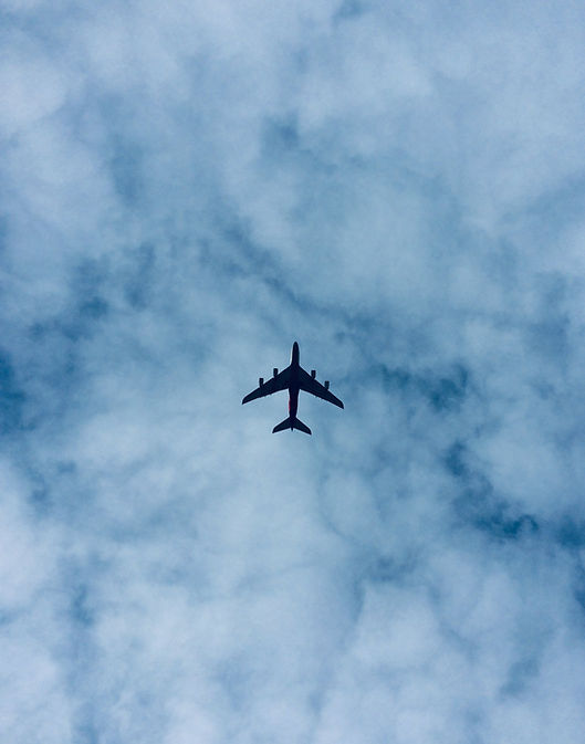 Morning Flight