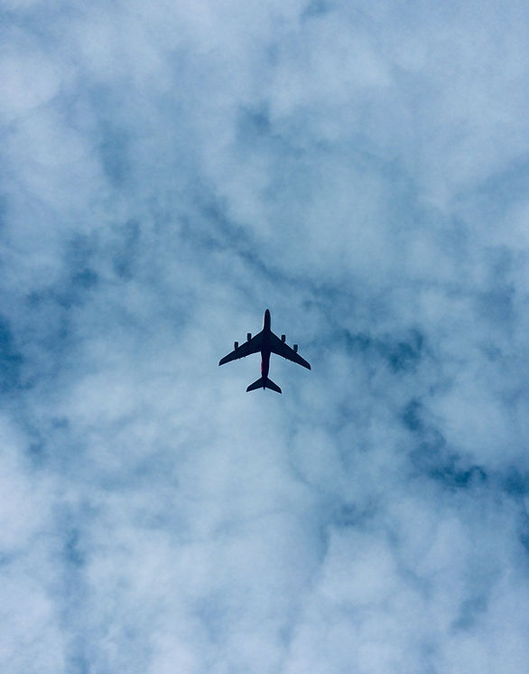 Morning Flight