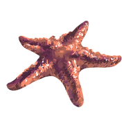 Starfish