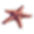 Starfish