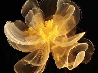 Emotional Messaging Design